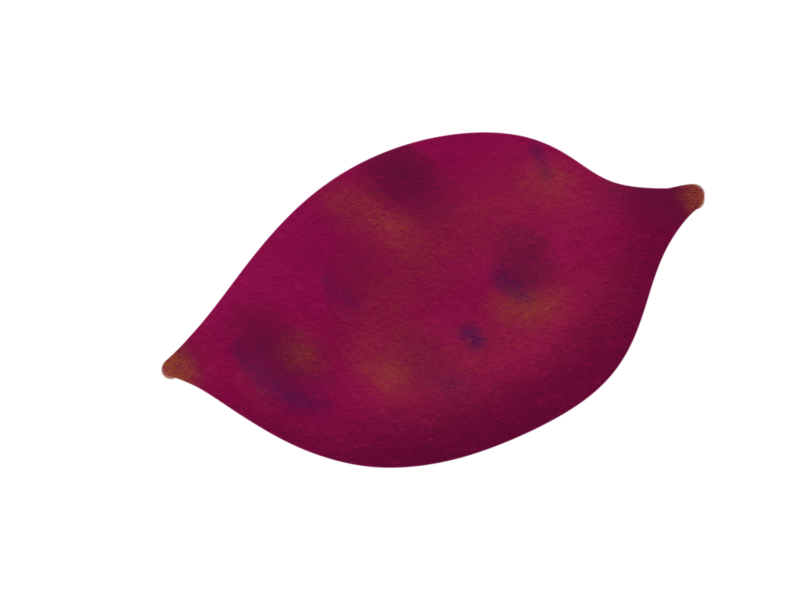 芋　さつまいも 